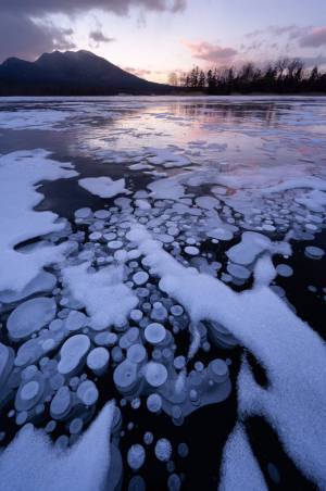 わずかな期間しか見られない、幻の冬の風物詩とは？　「なんて不思議」「時が止まったみたい」