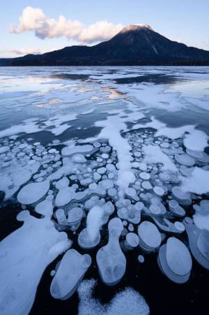 わずかな期間しか見られない、幻の冬の風物詩とは？　「なんて不思議」「時が止まったみたい」
