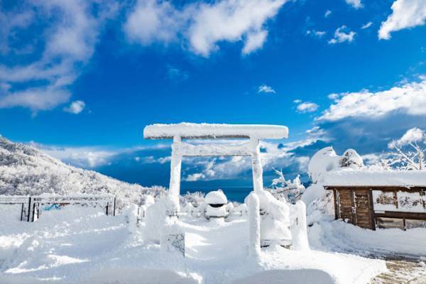 「圧巻の美しさ」　冬の天橋立、空を見上げると？