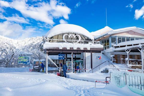 「圧巻の美しさ」　冬の天橋立、空を見上げると？