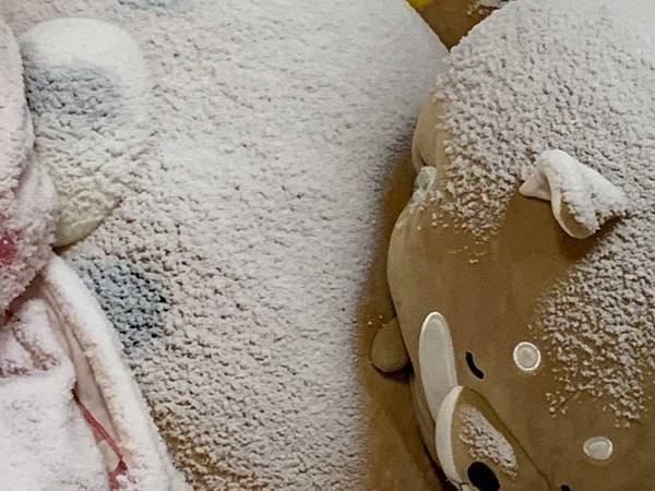 暴風雪の恐ろしさが伝わる『室内写真』に、８万人が驚愕！　「これはやばい…」