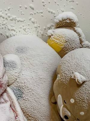 暴風雪の恐ろしさが伝わる『室内写真』に、８万人が驚愕！　「これはやばい…」