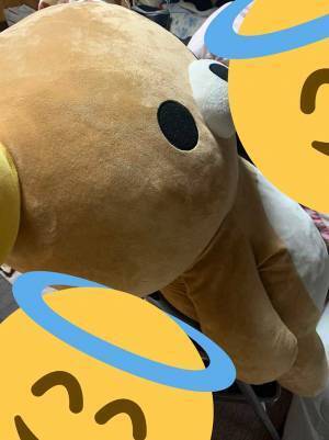 暴風雪の恐ろしさが伝わる『室内写真』に、８万人が驚愕！　「これはやばい…」