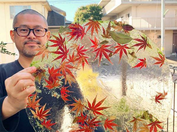 「メダカの池が凍って…」　偶然による『光景』が、１２万人の心震わす