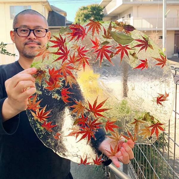 「メダカの池が凍って…」　偶然による『光景』が、１２万人の心震わす