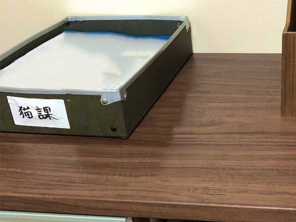 「写真を見て吹きだした」「うちにも来て」　引き出しの隙間から覗いていたのは…？