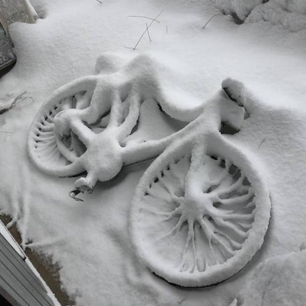 珍しい雪の積もり方に、１６万人が感動　「初めて見た」「これはすごい」