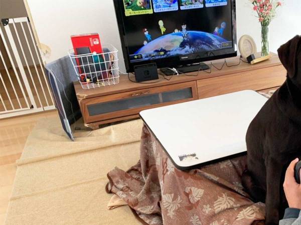 ゲーム中の男性　１９万人が吹き出した、意外な『妨害』とは？