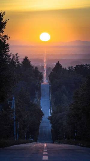 『限られた時間』しか見られない景色に、３万人が心奪われる