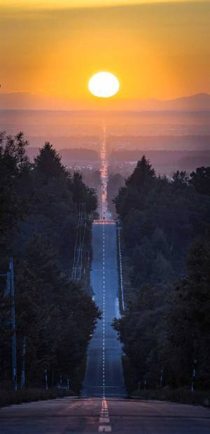 『限られた時間』しか見られない景色に、３万人が心奪われる