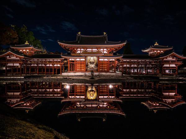 「貫禄がすごい…」　『鳳凰』の名にふさわしい４枚の写真がこちら