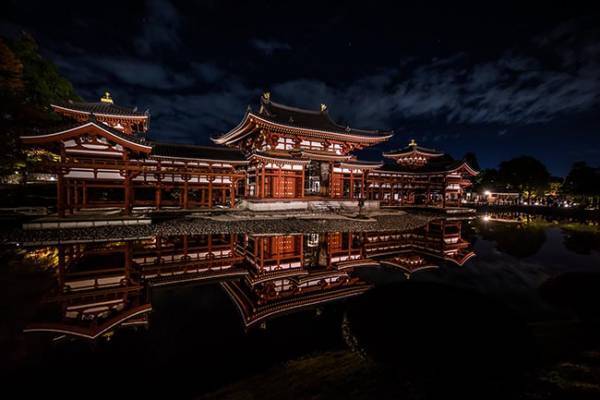 「貫禄がすごい…」　『鳳凰』の名にふさわしい４枚の写真がこちら