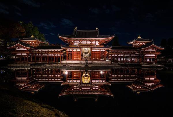 「貫禄がすごい…」　『鳳凰』の名にふさわしい４枚の写真がこちら