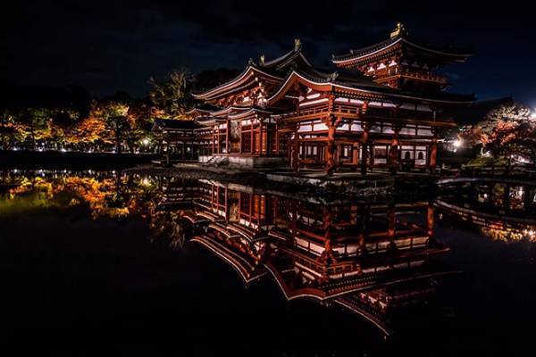 「貫禄がすごい…」　『鳳凰』の名にふさわしい４枚の写真がこちら