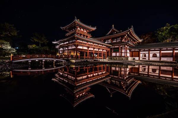 「貫禄がすごい…」　『鳳凰』の名にふさわしい４枚の写真がこちら