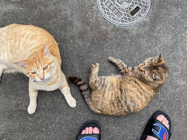 「盗むつもりか？」　白昼堂々、車の周りをウロウロする怪しい影の正体とは