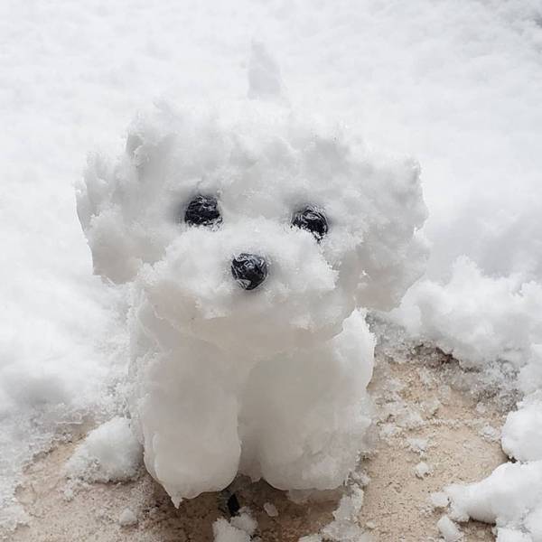 雪の中、家の前にちょこんと見つめる１匹の犬　実はこれ…