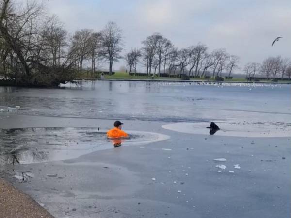 凍った湖に犬が落ちた！　すると『ヒーロー』が現れて…　「すごい男性」