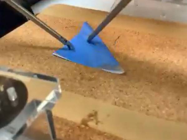 「これぞ、ゴッドハンド…」　腹腔鏡で『鶴』を折ると？　動画に驚嘆の声