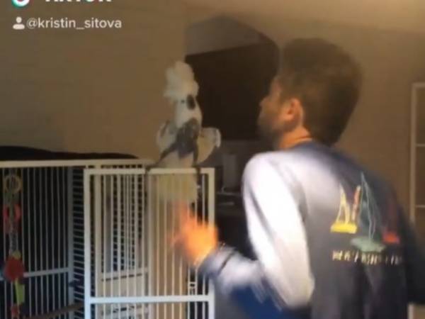 飼い主を亡くしたオウム　新しい家族と『踊る』姿に　「最高」「ありがとう」