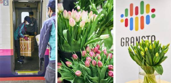 新潟からチューリップを新幹線輸送！　生花店の新しい試みに、注目集まる