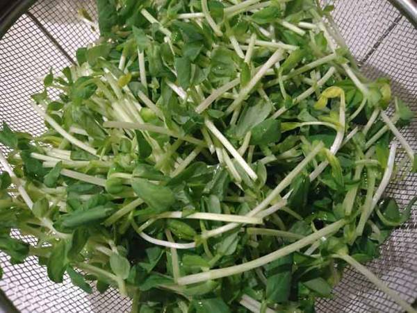 まぜまぜするだけで簡単に作れて食物繊維もしっかり採れる 豆苗の無限レシピはこちら！