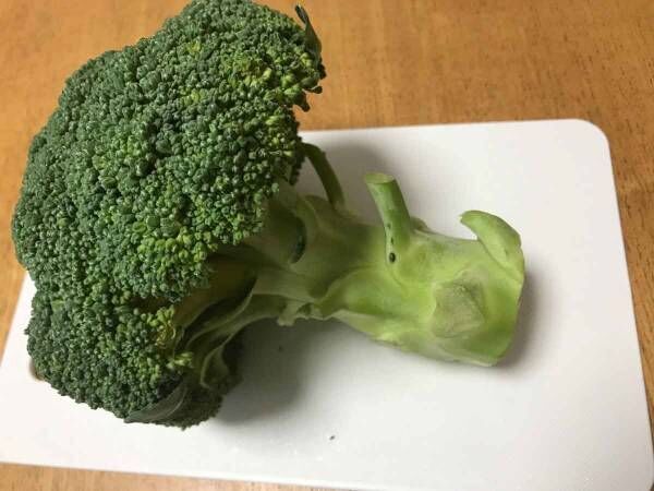目から鱗 知ってトクするブロッコリーの崩れない切り方とは 21年1月25日 ウーマンエキサイト 1 2 目から鱗 知ってトクするブロッコリーの崩れない切り方とは 21年1月25日 ウーマンエキサイト 1 2
