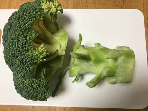 目から鱗！知ってトクするブロッコリーの崩れない切り方とは！？