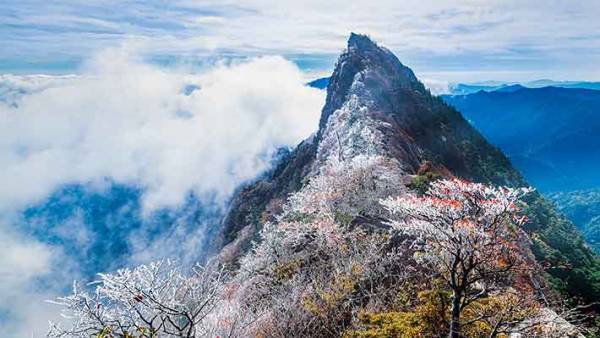 この世のものとは思えない美しさ！珍しい霧氷に感動の声