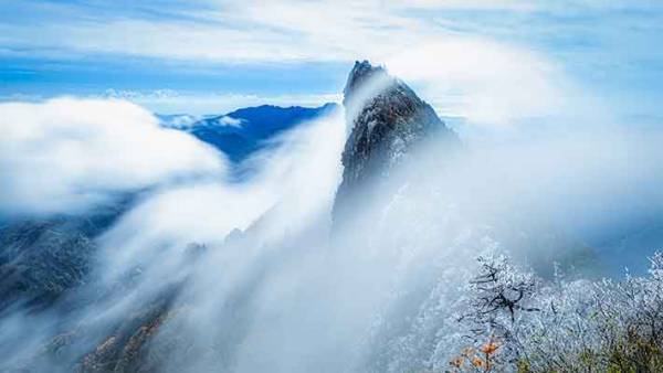この世のものとは思えない美しさ！珍しい霧氷に感動の声