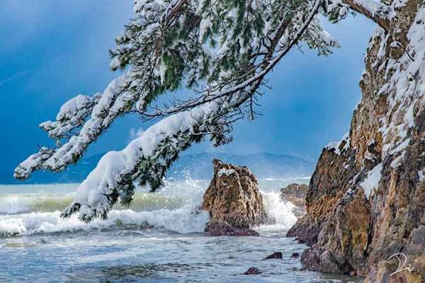 美しい！！吹雪の夜が明けた幻想的すぎる神社写真