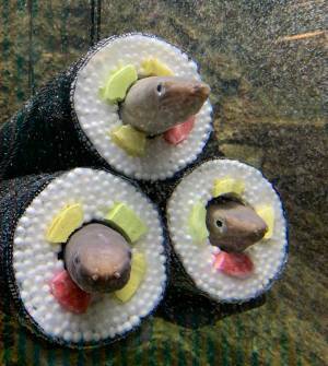 水族館にある『アナゴの水槽』にツッコミが止まらない