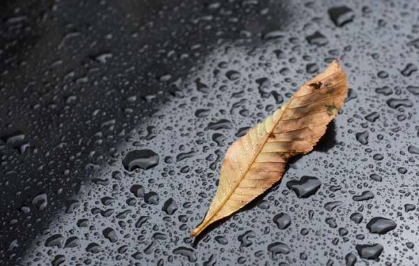 落ち込んだときに大切なのは、落ち込んでいる自分を眺める視点