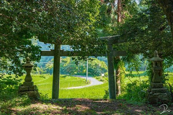 トトロがいそう…　京都で撮影された『４枚』に、心奪われる