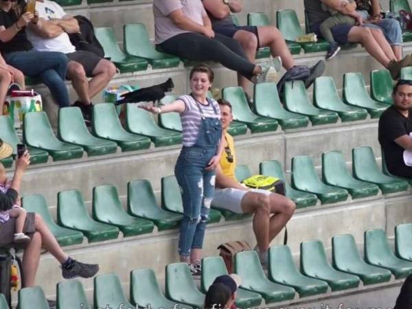 すべてが完璧！　動物園で鳥のショーを見ていた女性に起きたサプライズとは？