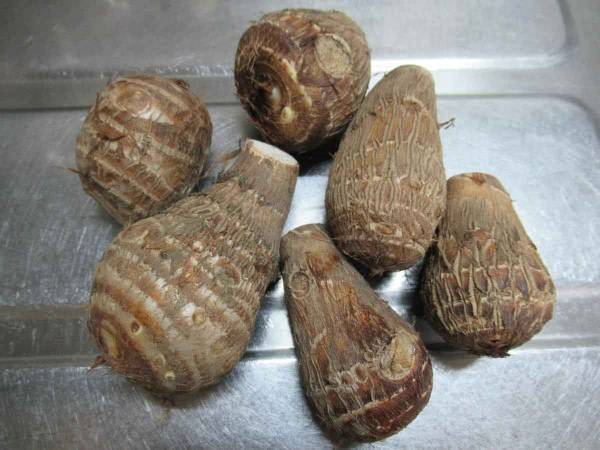 煮物がダメでもコレならＯＫ！子供が食べる里芋料理がコレ