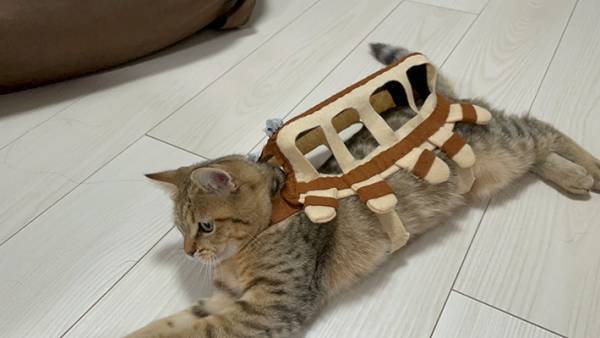 「かわいすぎる」「クオリティが高い」　リアルなネコバスに悶絶！