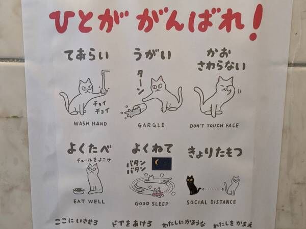 「ねこはやらない　ひとががんばれ」　猫視点で描かれた『感染対策』の貼り紙が話題