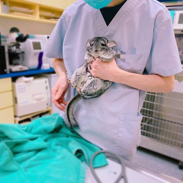 「飼い主、助けて！」　動物病院での表情がたまらない