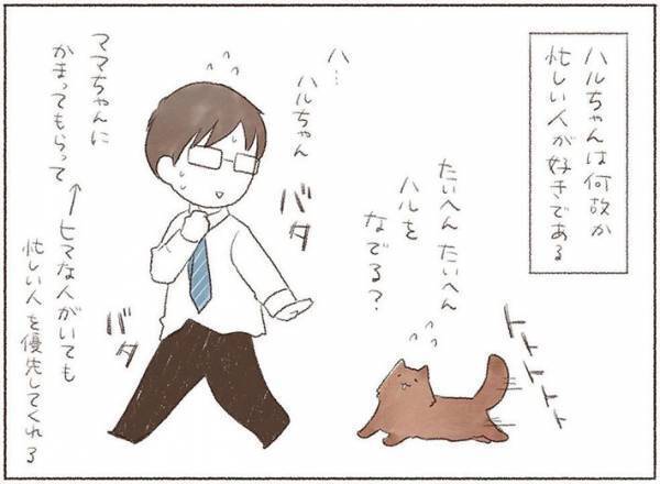 忙しそうな飼い主を見た猫が…　「なんて健気なの」「罪な猫だ」