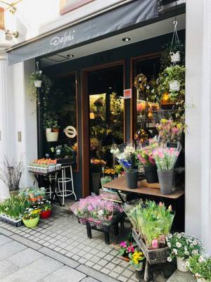 自宅で切り花を楽しむには？　プロから聞いた『育て方のコツ』が、ためになる