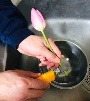 自宅で切り花を楽しむには？　プロから聞いた『育て方のコツ』が、ためになる