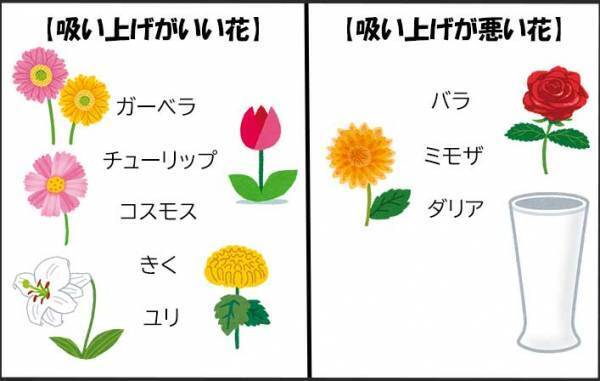 自宅で切り花を楽しむには？　プロから聞いた『育て方のコツ』が、ためになる