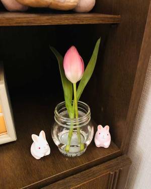 自宅で切り花を楽しむには？　プロから聞いた『育て方のコツ』が、ためになる