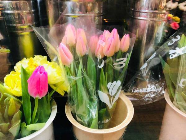 自宅で切り花を楽しむには？　プロから聞いた『育て方のコツ』が、ためになる