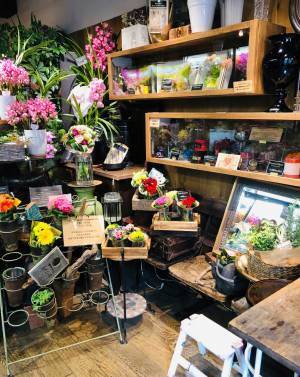 自宅で切り花を楽しむには？　プロから聞いた『育て方のコツ』が、ためになる