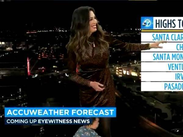 自宅から出演中のお天気キャスター　かわいい『乱入者』に視聴者は大喜び！