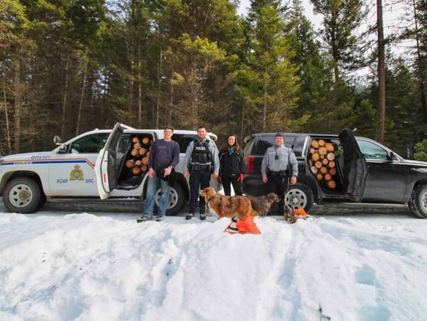 警察官が確保したのは犯人ではなく大量の『薪』　理由に称賛の声が相次ぐ