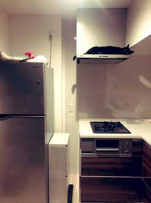 キッチンを写した『４枚』に６万人が悶絶　換気扇の上にいたのは…？