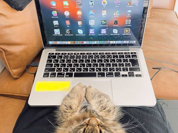 リモートワーク中の人間を『妨害』したのは…？　１５万人を悶絶させた写真がこちら